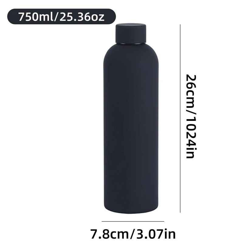 Double Wall Vacuum Bottle Modern Design